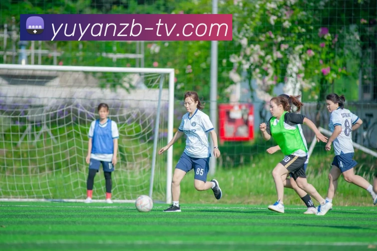 多媒体互动体验