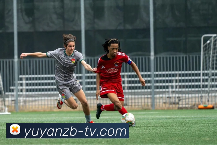 雨燕体育直播APP 高清赛事图